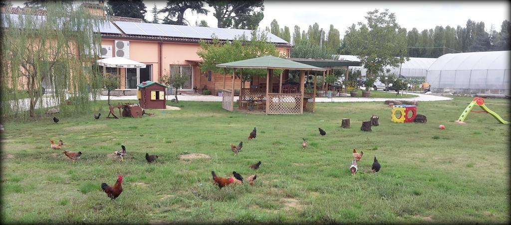 Agriturismo Perugini Bed & Breakfast Cesena Luaran gambar